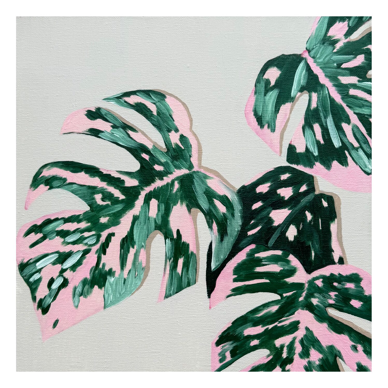 Monstera Print A3
