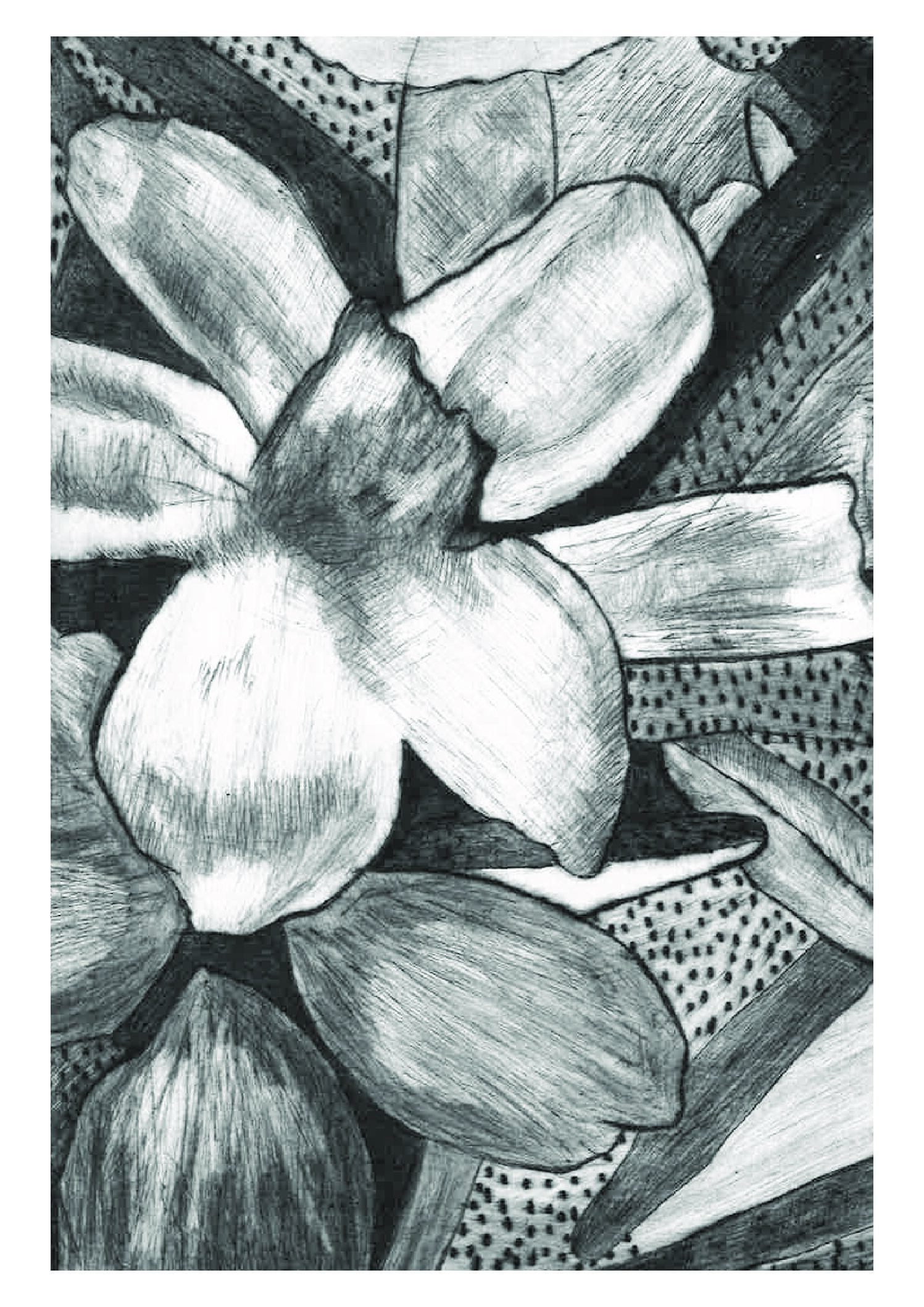 Gravure printing A3