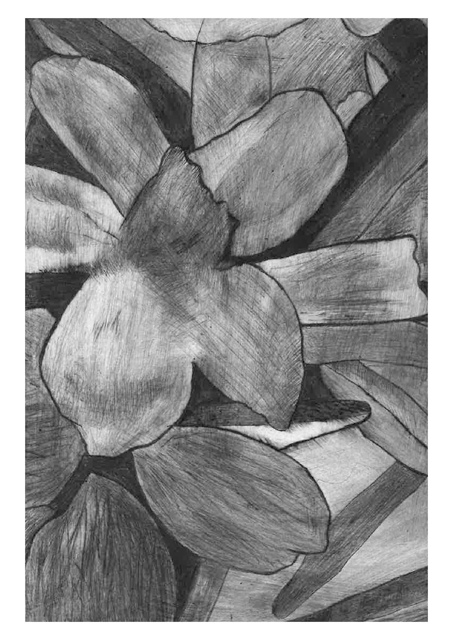 Gravure printing A3