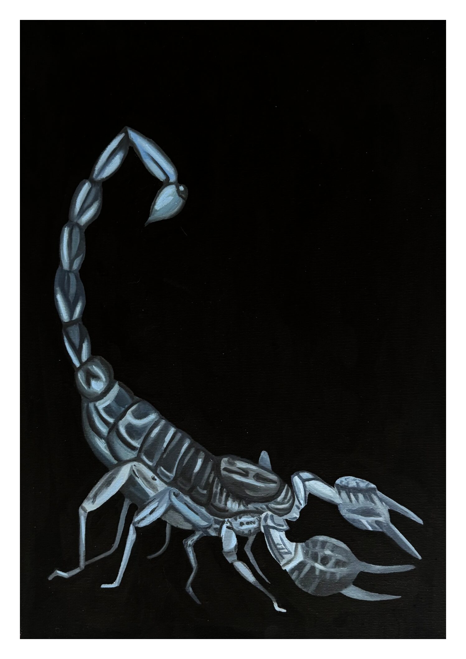 Scorpion Print A3